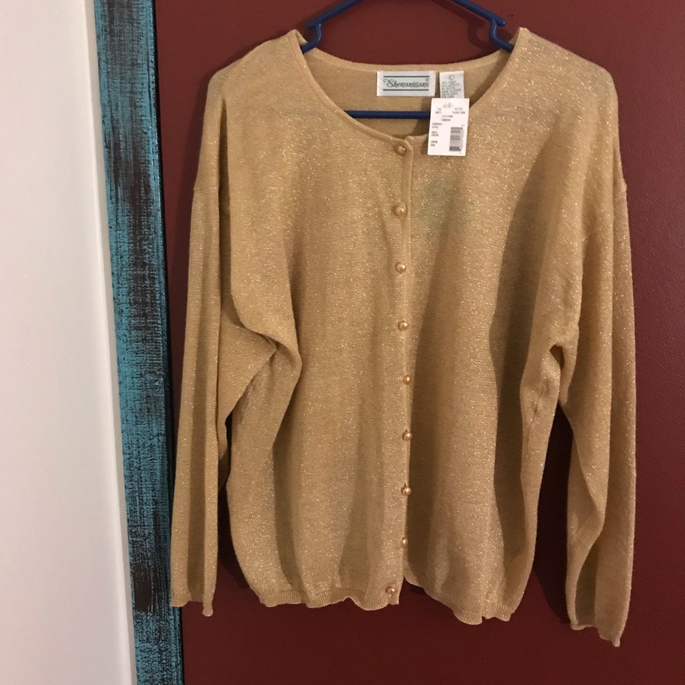 Shenanigan’s gold shimmery sweater